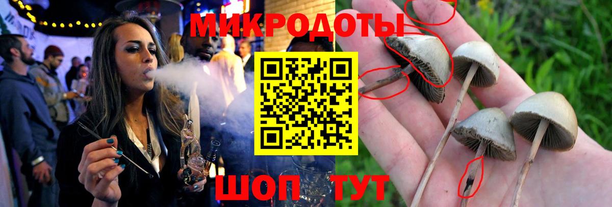 Камышлов  Галлюциногенные грибы Cubensis  Вход с VPN 